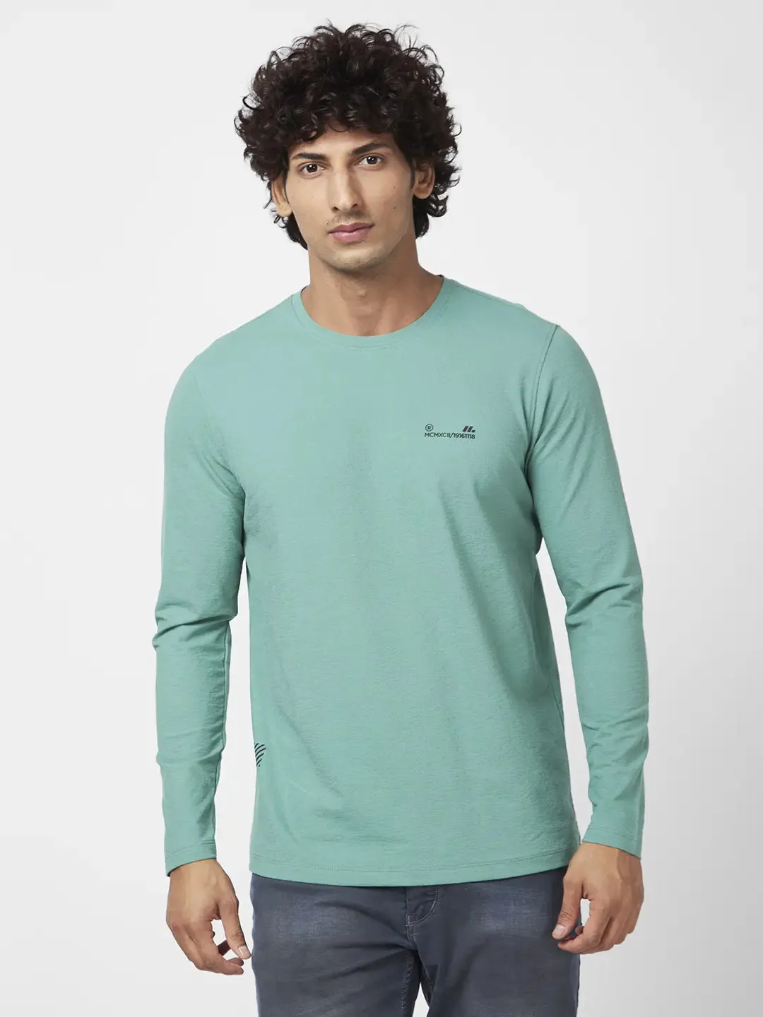 Spykar Men Sage Green Blended Slim Fit Full Sleeve Round Neck Casual Plain Tshirt