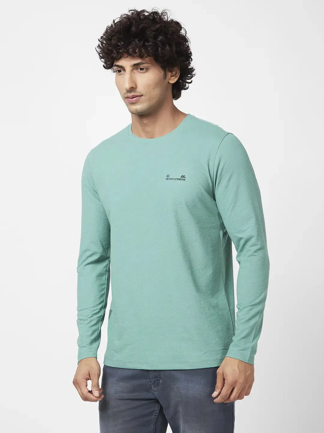 Spykar Men Sage Green Blended Slim Fit Full Sleeve Round Neck Casual Plain Tshirt